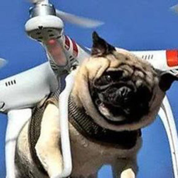 Meet your Posher, Josh - Picture 1 of 1